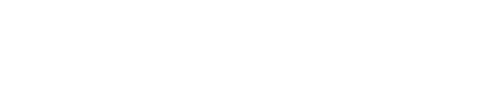 fitveda